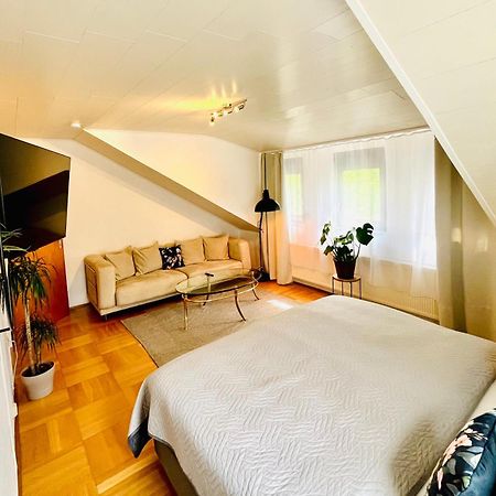 Casa Inn Parkview - Relax & Chill - Perfect For Business Travel, Weekend Trip, Family&Friends, Dogs Lover, Romance, Layover Or Longstay Limburg an der Lahn Εξωτερικό φωτογραφία
