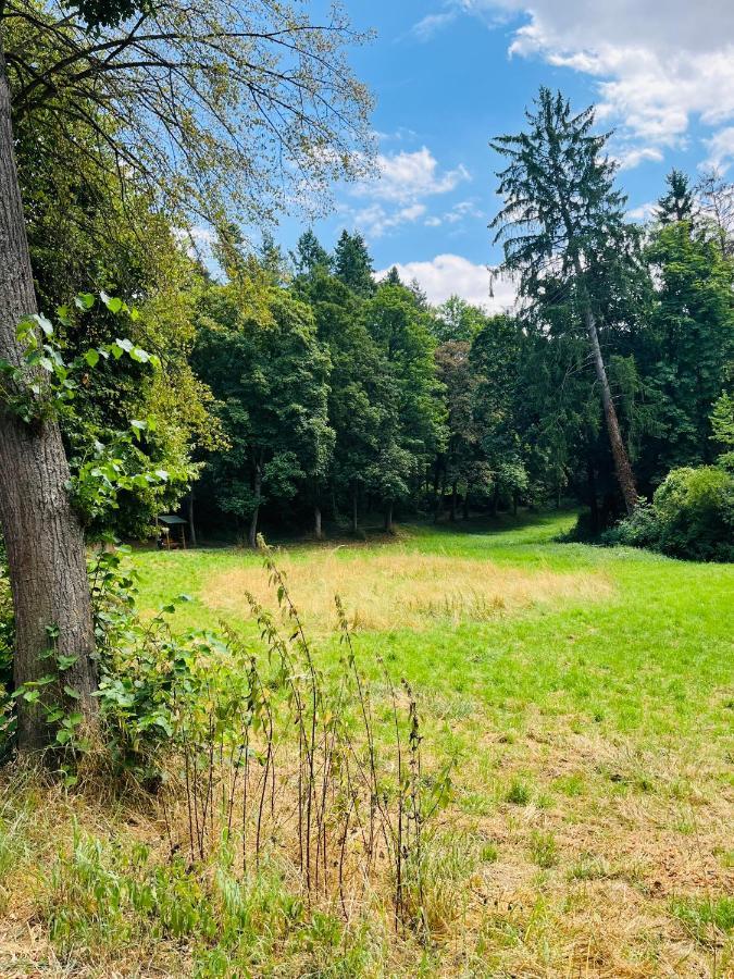 Casa Inn Parkview - Relax & Chill - Perfect For Business Travel, Weekend Trip, Family&Friends, Dogs Lover, Romance, Layover Or Longstay Limburg an der Lahn Εξωτερικό φωτογραφία
