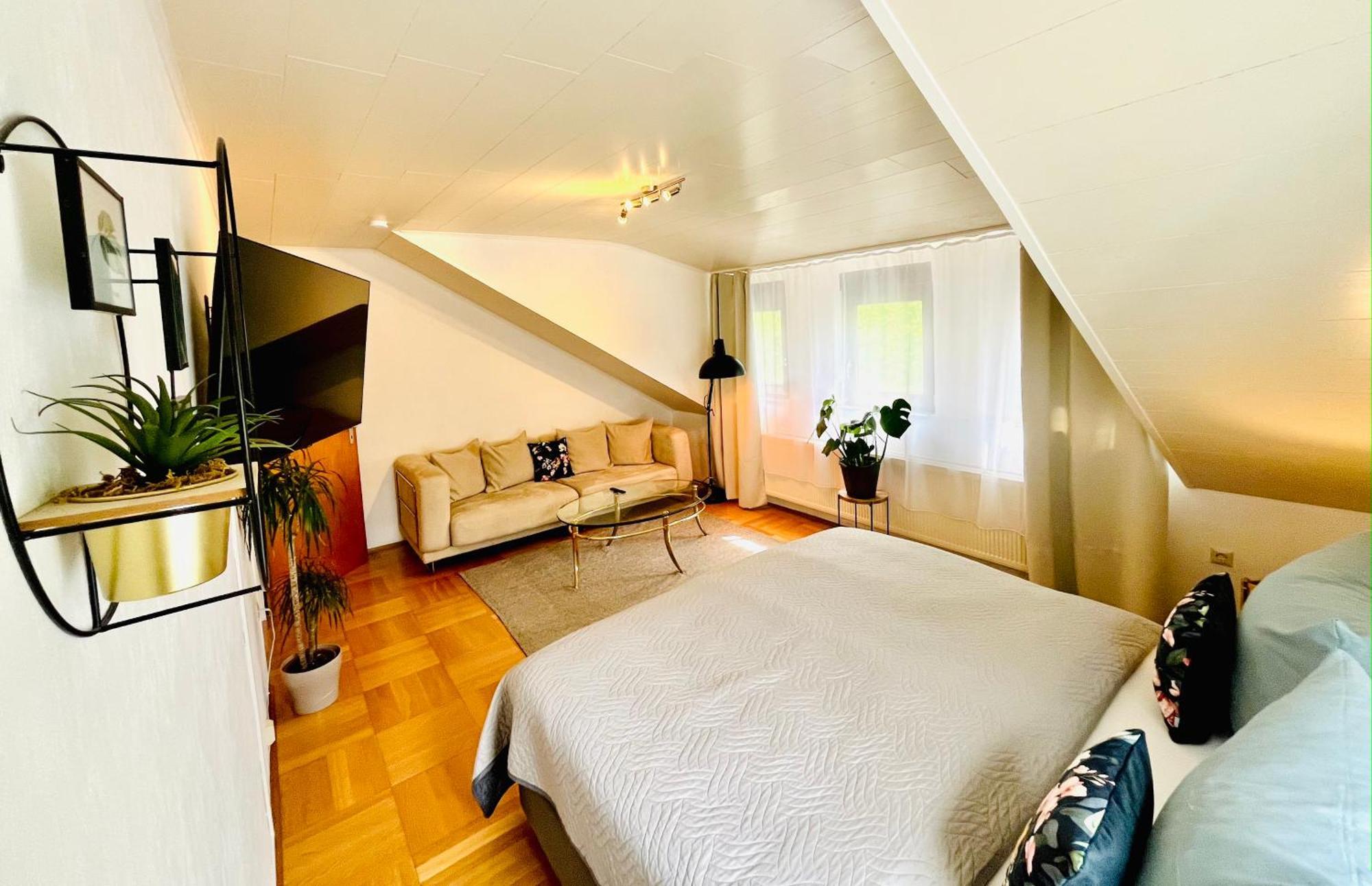 Casa Inn Parkview - Relax & Chill - Perfect For Business Travel, Weekend Trip, Family&Friends, Dogs Lover, Romance, Layover Or Longstay Limburg an der Lahn Εξωτερικό φωτογραφία